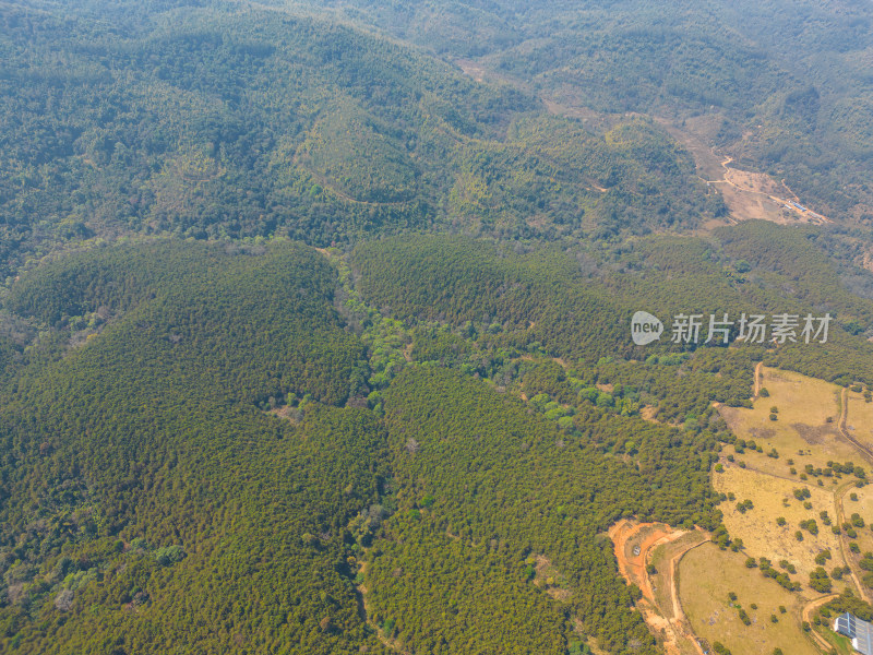 航拍山顶牧场田园风光