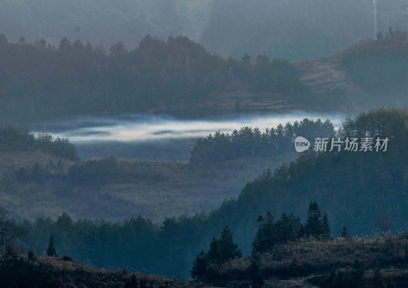 重庆酉阳：群山中的茶山