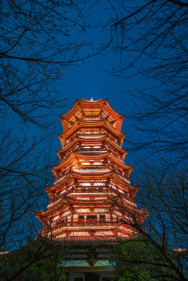 长沙洋湖湿地公园白鹭塔梅林夜景