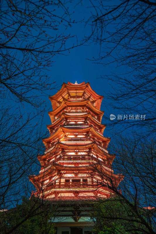 长沙洋湖湿地公园白鹭塔梅林夜景