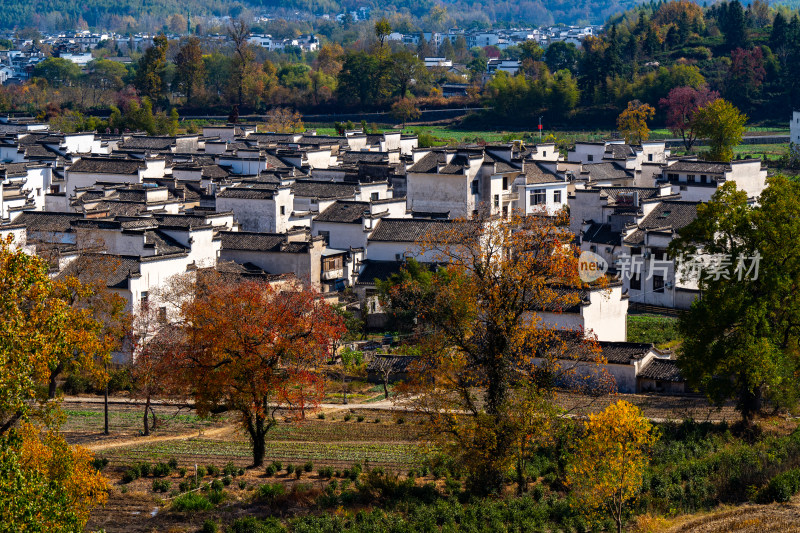 世界文化遗产：安徽黄山西递古村落