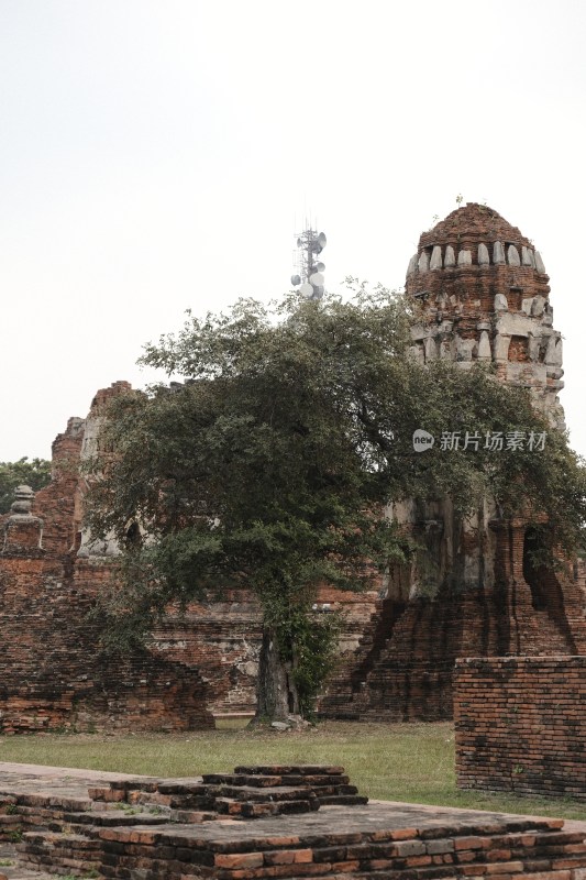 泰国大城府佛教寺庙遗迹