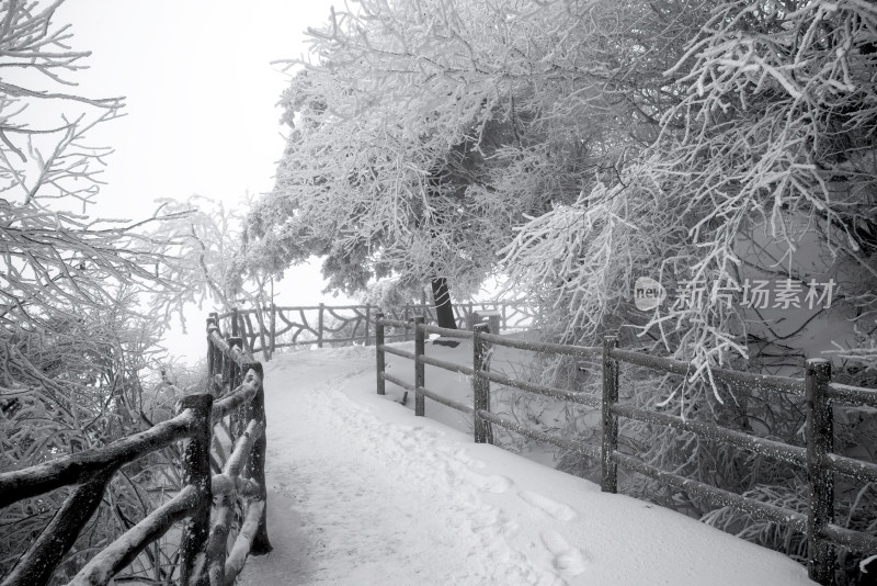 寒冷冬季景区雪后栈道