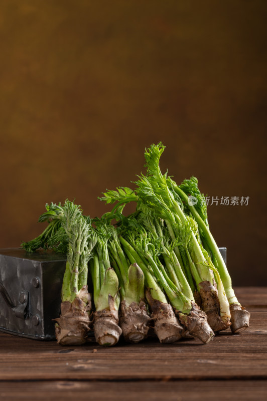 木桌上的新鲜山野菜