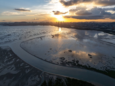 广东大湾区深圳前海湾涂滩日落城市夜景航拍