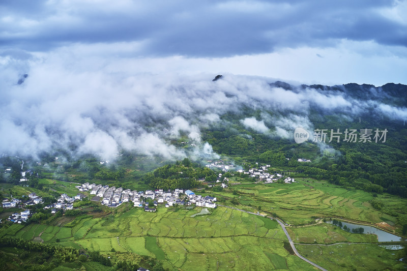 晨雾下的乡村风光