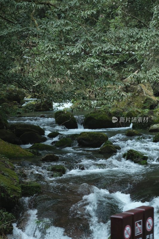 山林间潺潺溪流风景