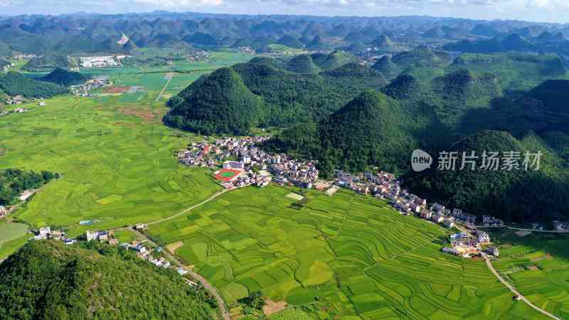 美丽乡村 农业产业乡村振兴