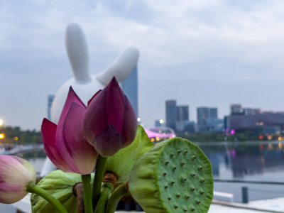 兴隆湖风景城市里的雕塑