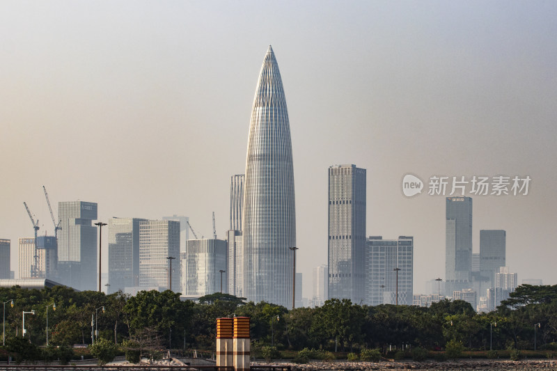 深圳湾公园景观