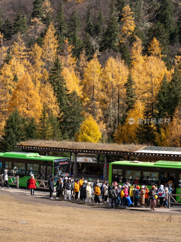 游客在四川阿坝四姑娘山双桥沟景区欣赏秋景