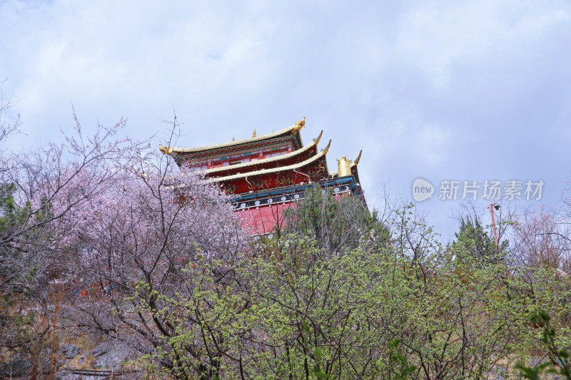 独克宗古城大佛寺