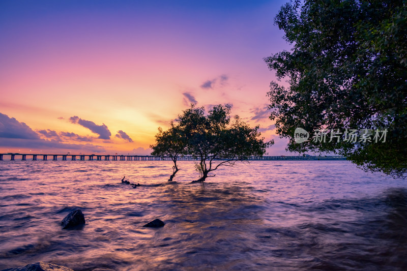 深圳西湾红树林湿地公园晚霞美景