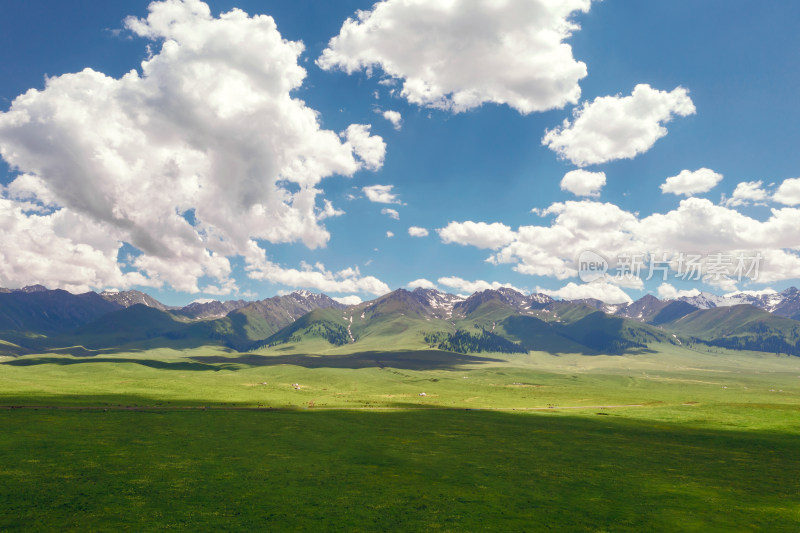 中国新疆伊犁那拉提草原自然风景