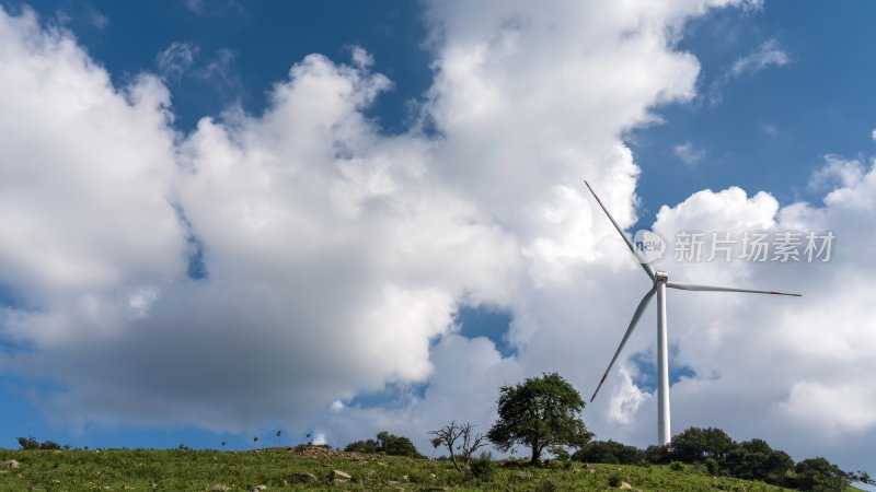 新能源风力发电机大风车