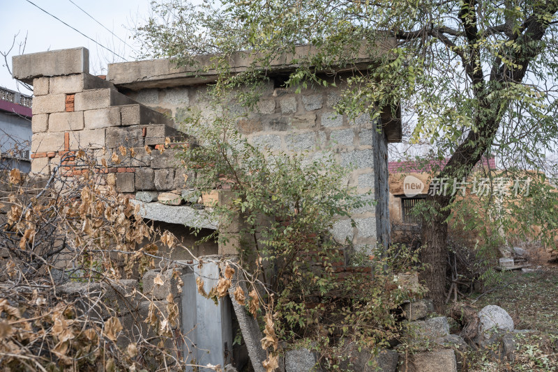 乡村老房子土房建筑