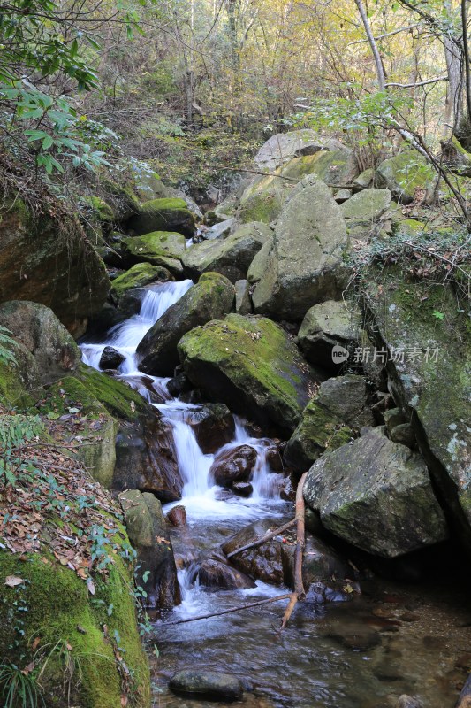 山涧溪流 溪水 山谷