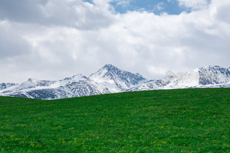 新疆伊犁琼库什台雪山森林草原风光