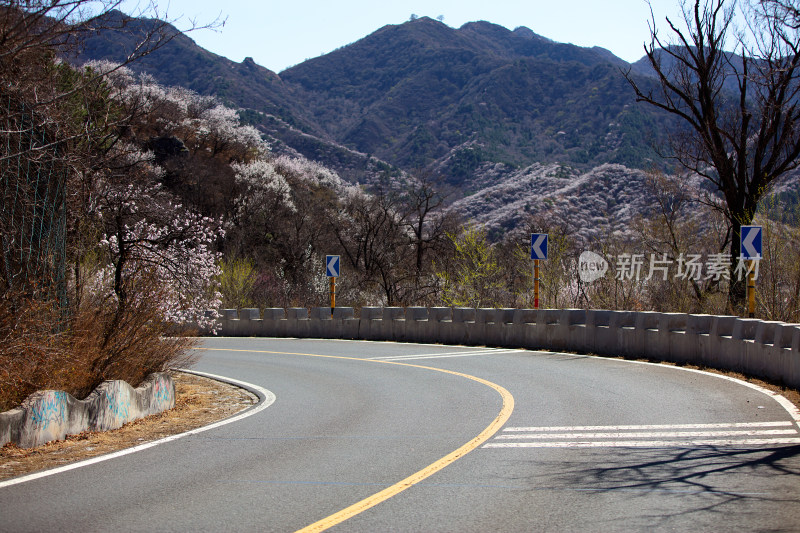 北京昌赤路春天开满山桃花