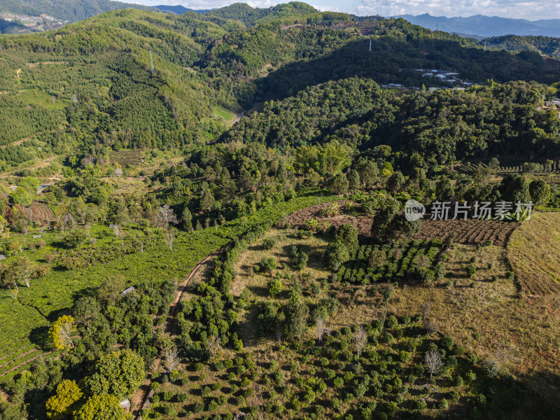 航拍山间绿意盎然的田园风光