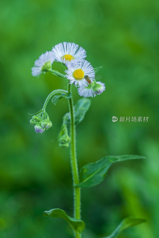 武汉汉口江滩公园风景