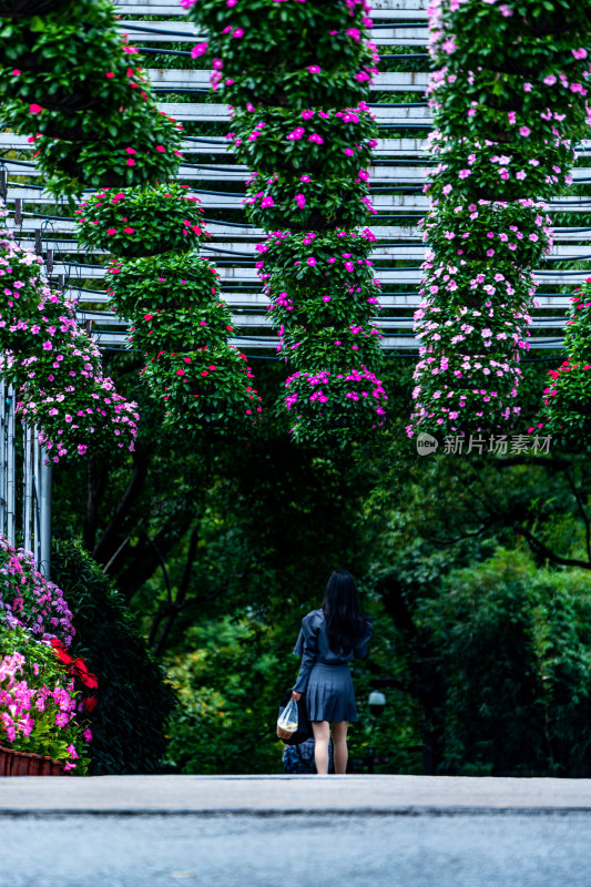 上海植物园自然风景景点景观