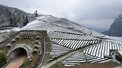 寒潮冬天下雪的大峡谷田野