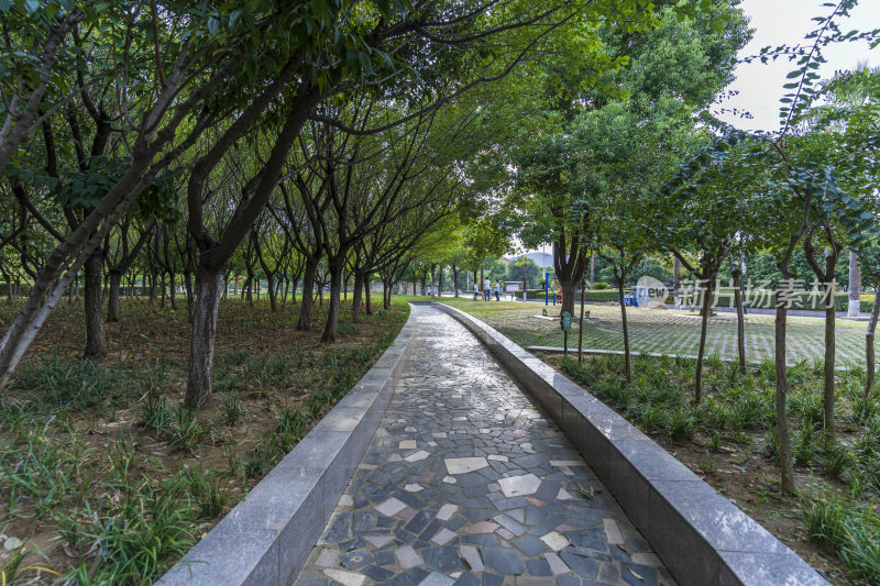 武汉江夏新世纪公园风景