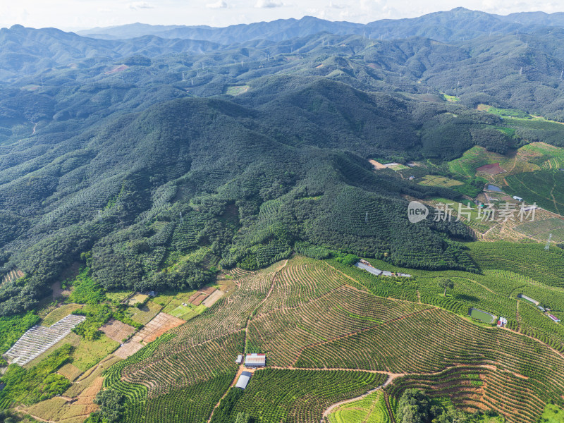 山峦梯田航拍图