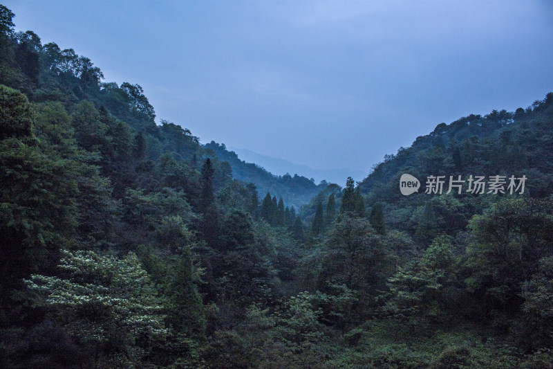 青城山风景