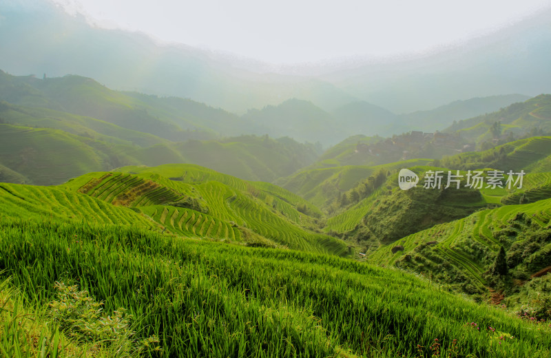 桂林龙脊梯田风光