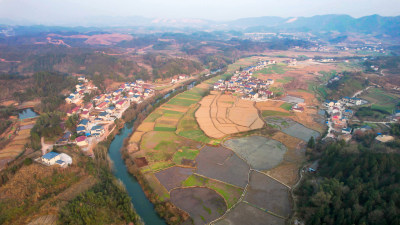 农业种植农田