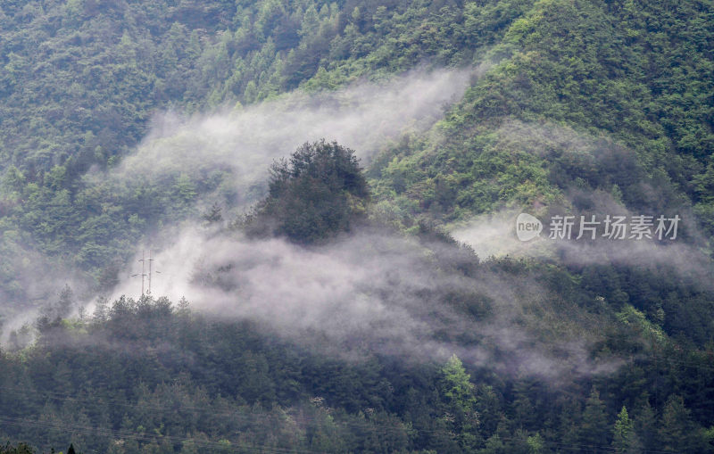 重庆酉阳：晨雾细雨美青山