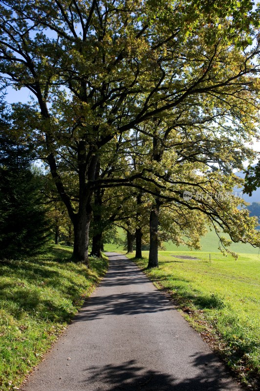 奥地利萨尔茨堡(Salzburg)