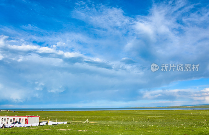 青海黑马河青海湖畔草原牧场夏日风光