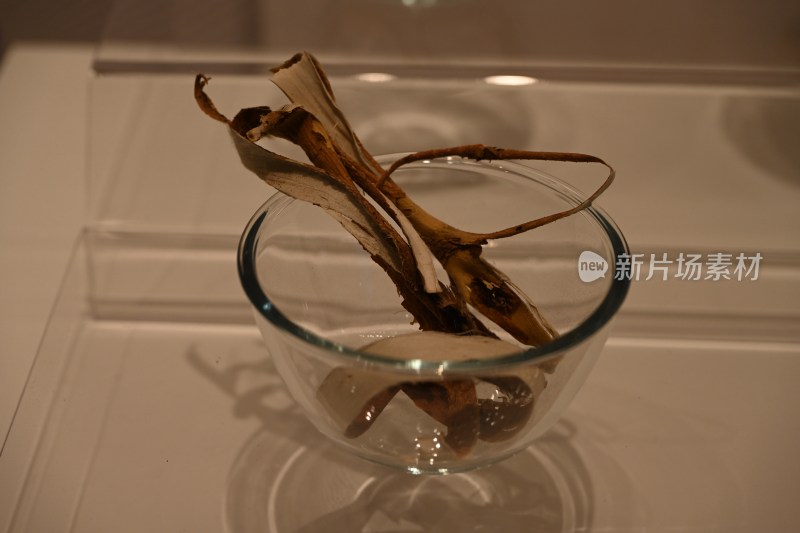 玻璃碗中的干枯植物样本