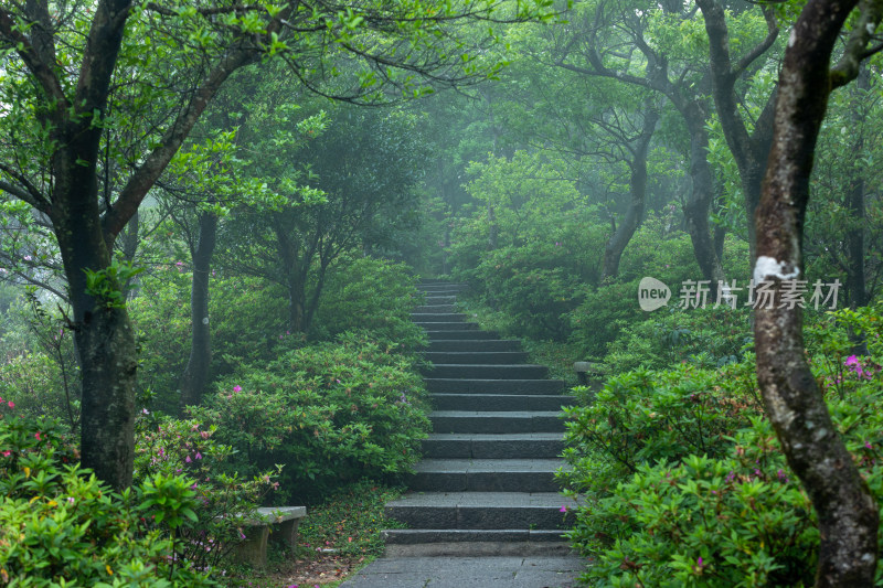 深圳梧桐山公园山景