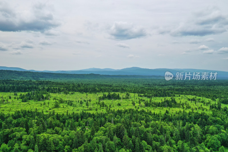 长白山高山花园风光