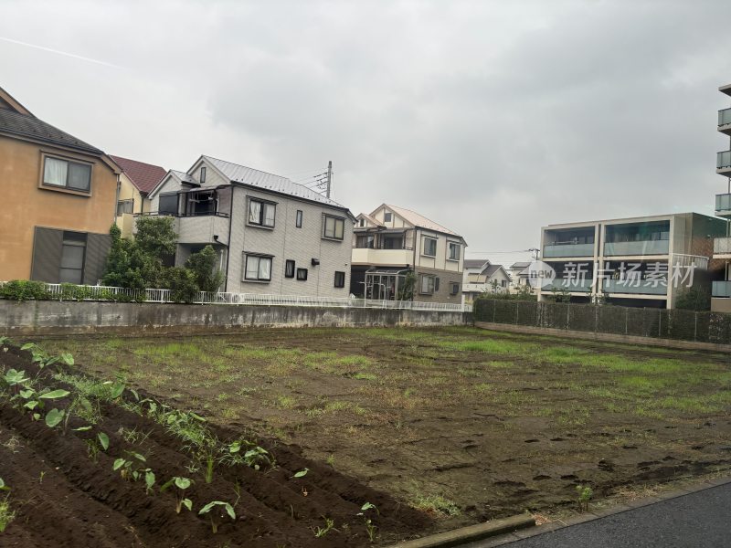 住宅旁的农田景象