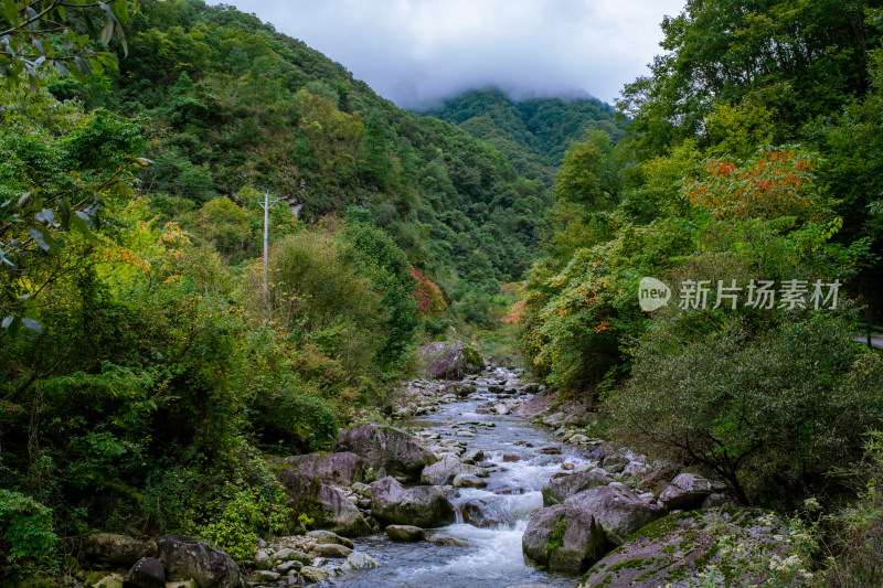 汉中留坝火烧店镇秦岭深处的山中小溪