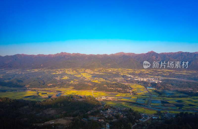 日出时高黎贡山下的油菜花田