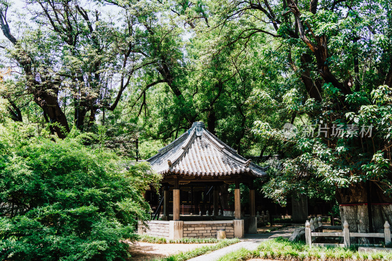 潍坊青州范公亭公园三贤祠