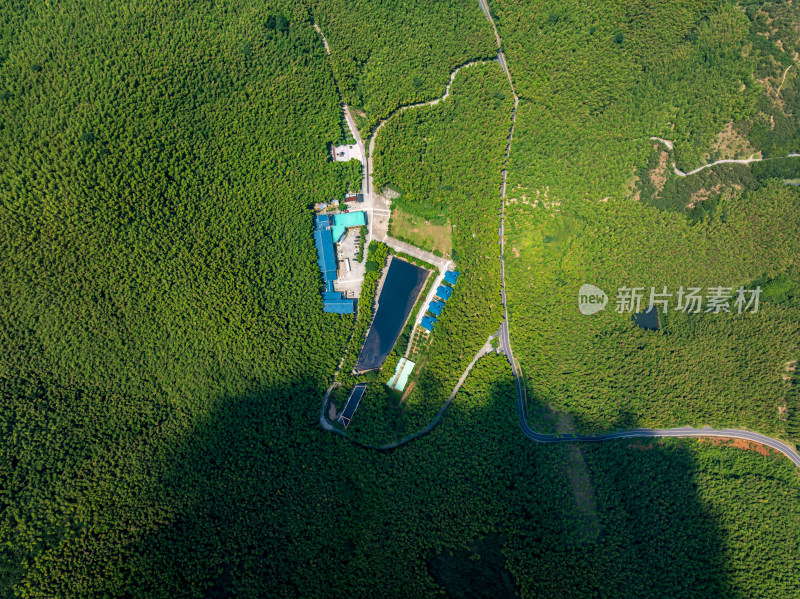 夏季白天航拍常州溧阳天目山南山竹海景区