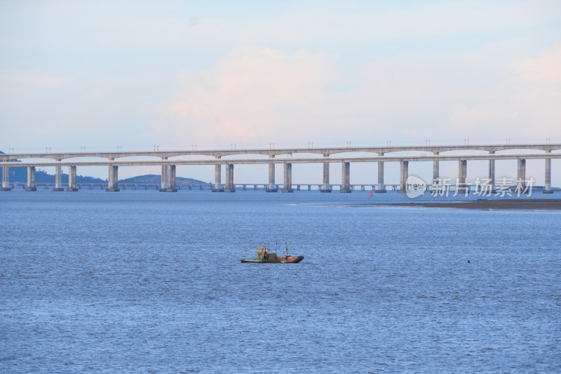 泉州海滨公园 大海与马鞭草