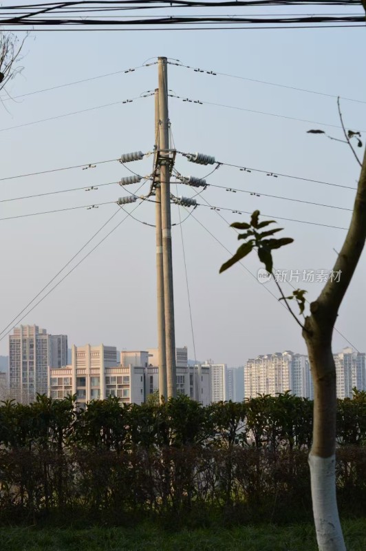 城市中的电线杆与建筑景观