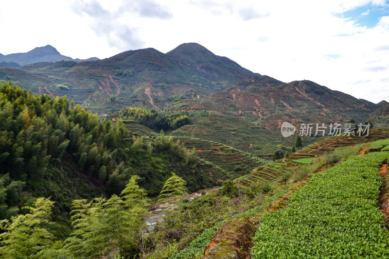 山林间的全景