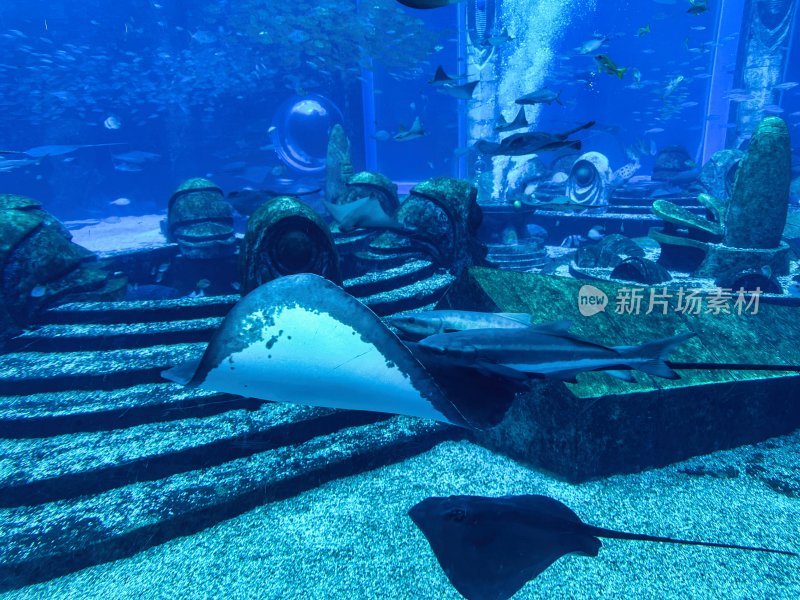 海南省三亚亚特兰蒂斯酒店的水族馆