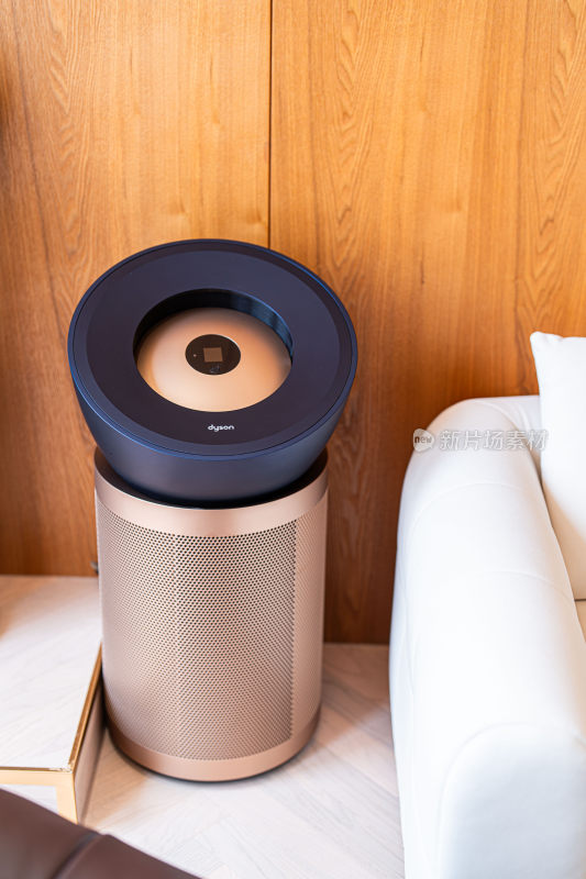室内戴森空气净化器特写