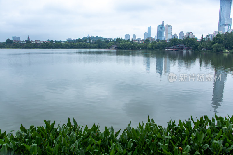 南京玄武湖公园夏日风光