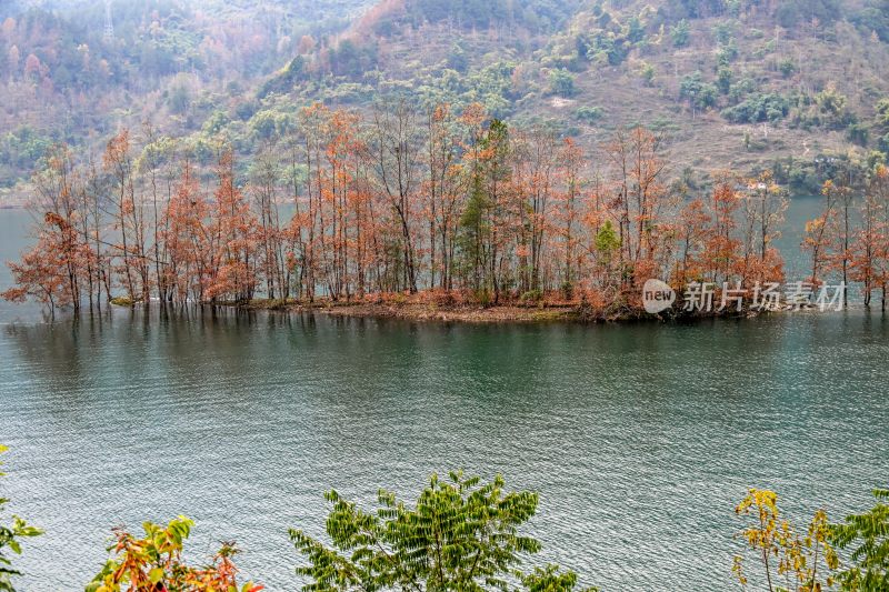 重庆酉阳：绿水青山林更红